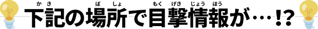 下記の場所で目撃情報が…！？